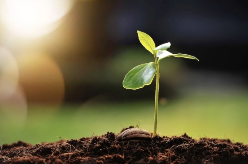 Seminario estivo: accedere alla dimensione del Sé Seminario estivo: accedere alla dimensione del Sé